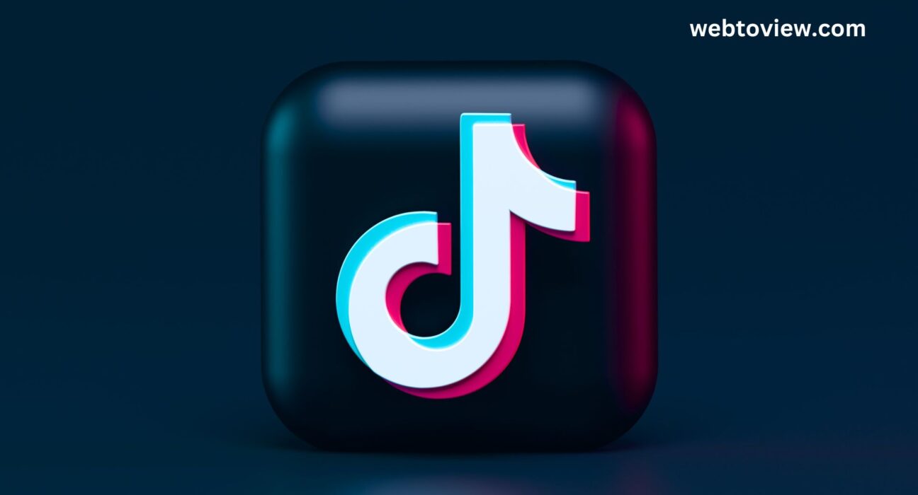 TikTok Popularity According to Visitors