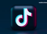 TikTok Popularity According to Visitors