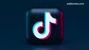 TikTok Popularity According to Visitors