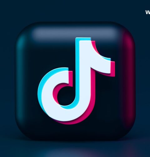 TikTok Popularity According to Visitors